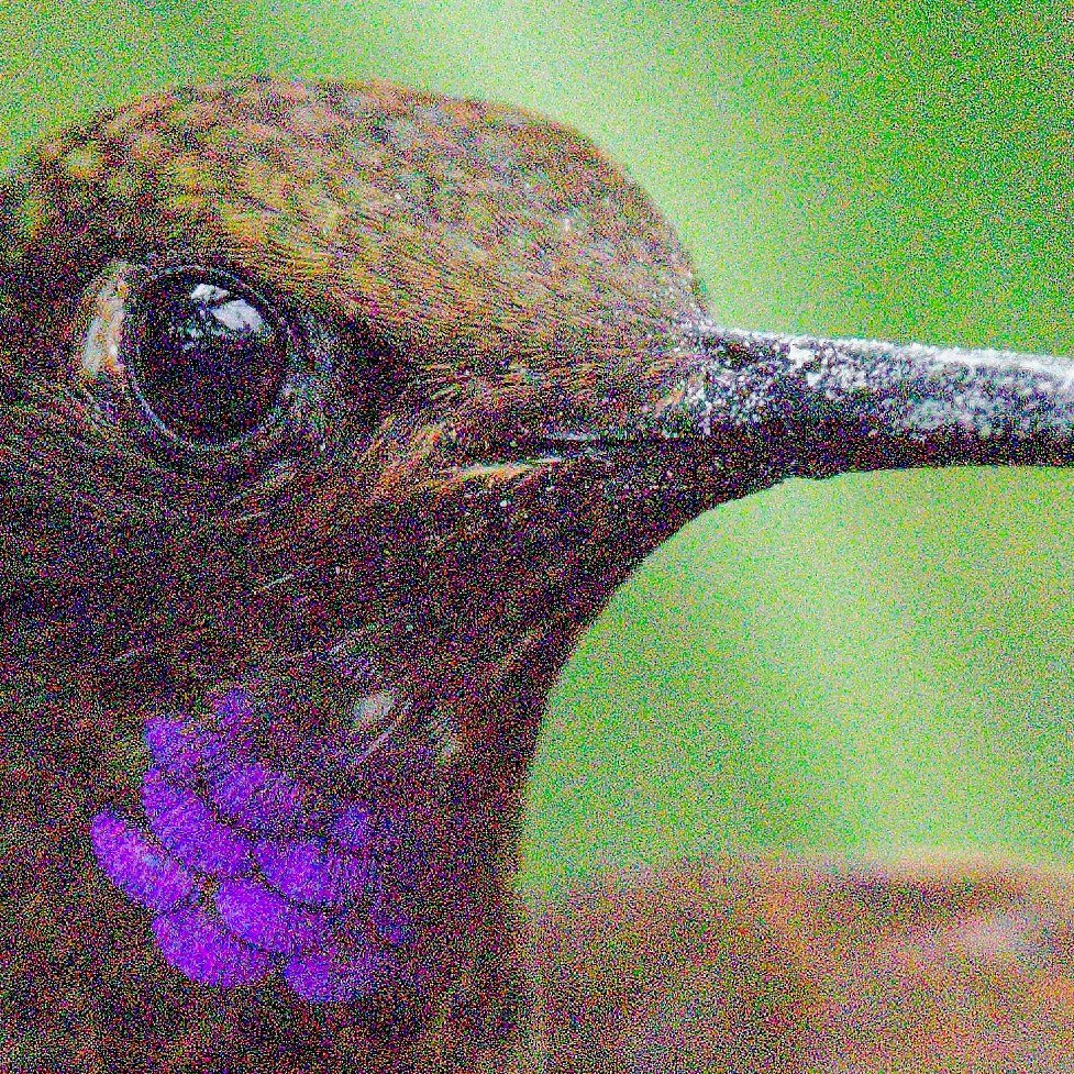 Unprocessed RAW at ISO 25,600 — 100% crop