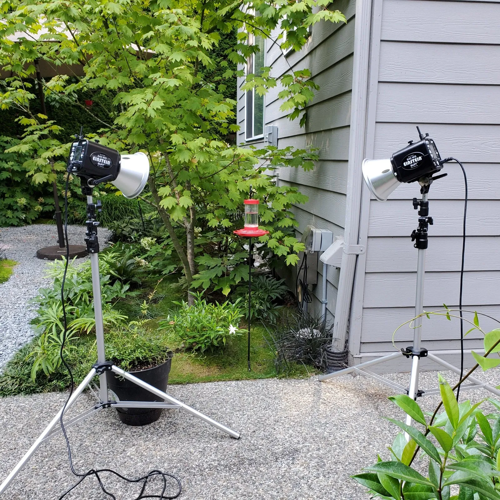 Photo strobe setup with two Paul C Buff Einstein photo strobes