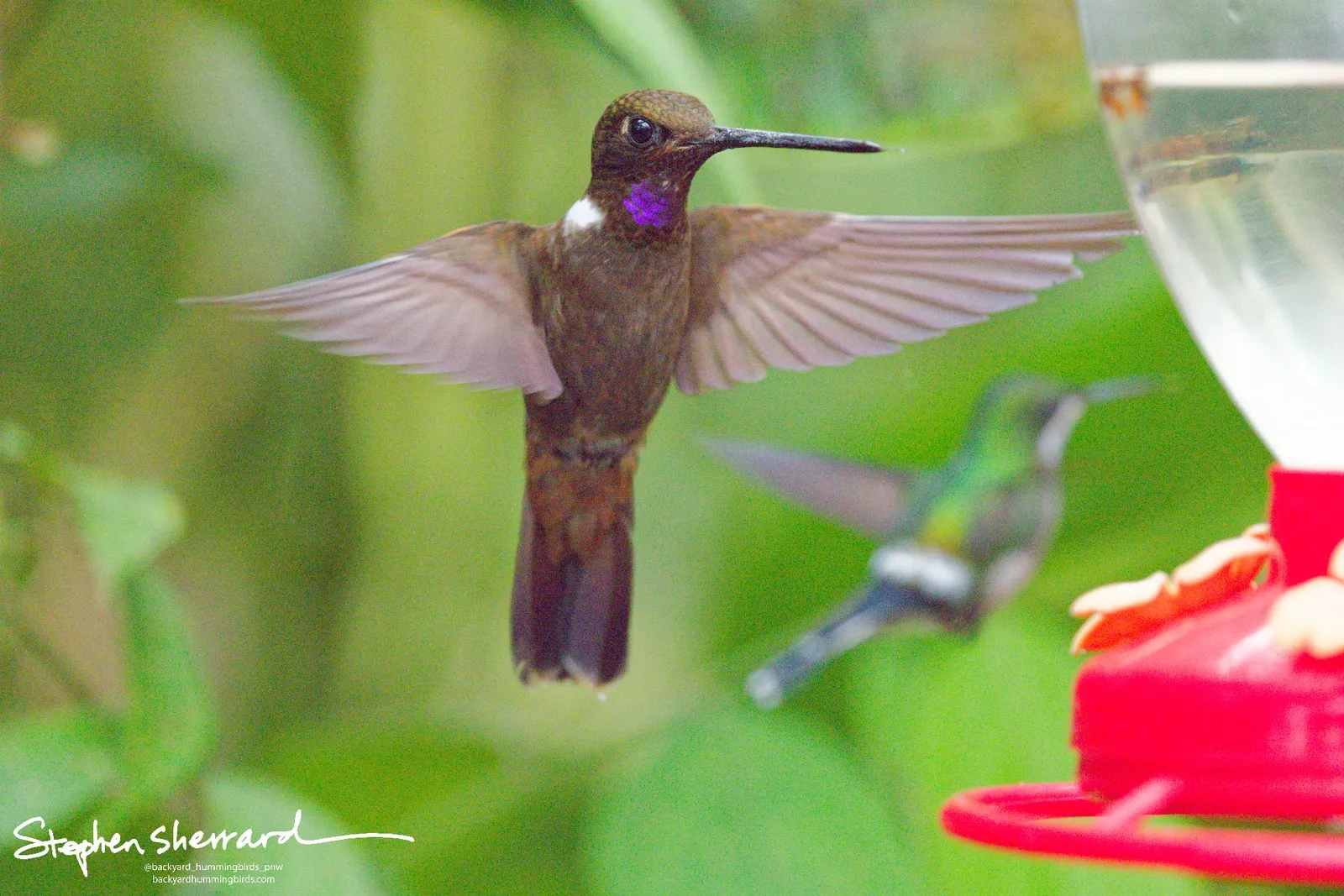 Unprocessed RAW — full image size