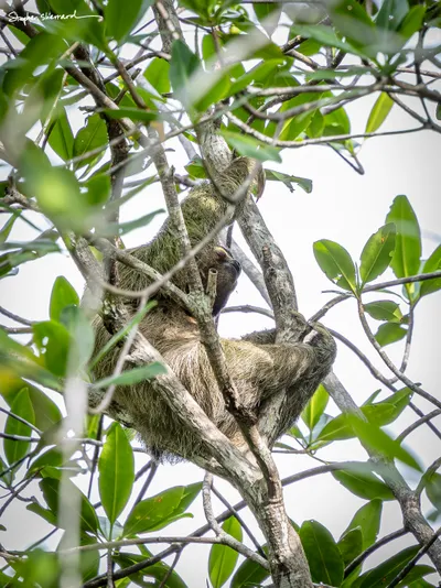 Costa Rica