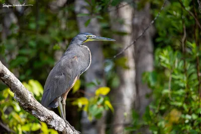 Costa Rica