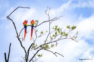 Costa Rica