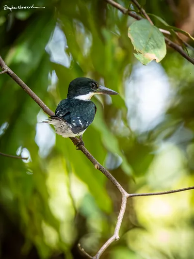 Costa Rica