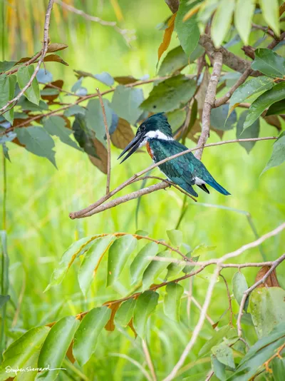 Costa Rica