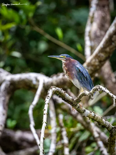 Costa Rica