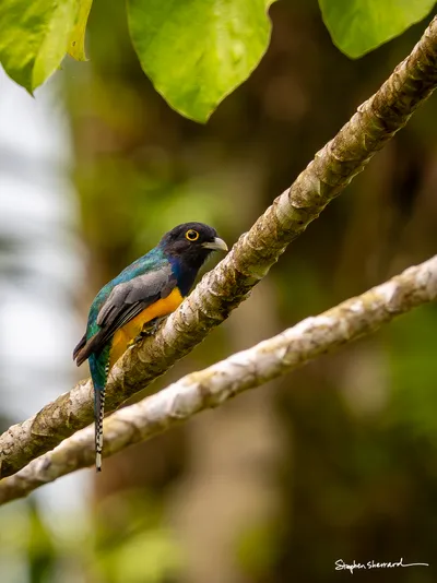 Costa Rica