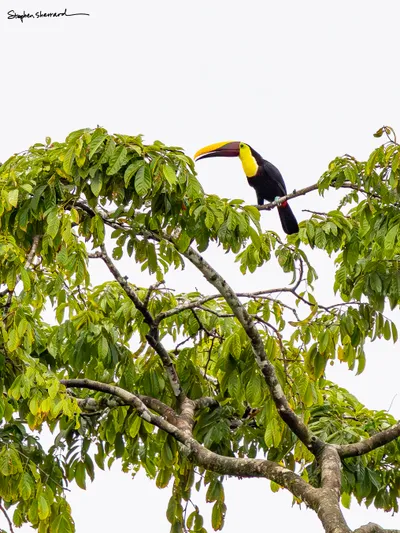Costa Rica