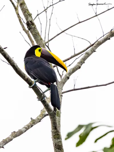 Costa Rica