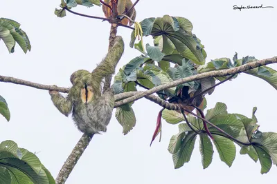 Costa Rica