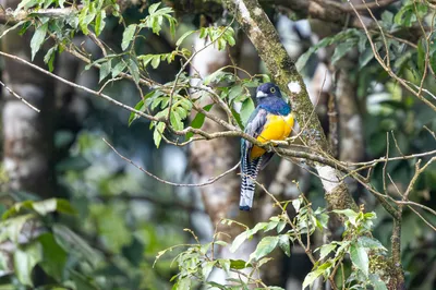 Costa Rica
