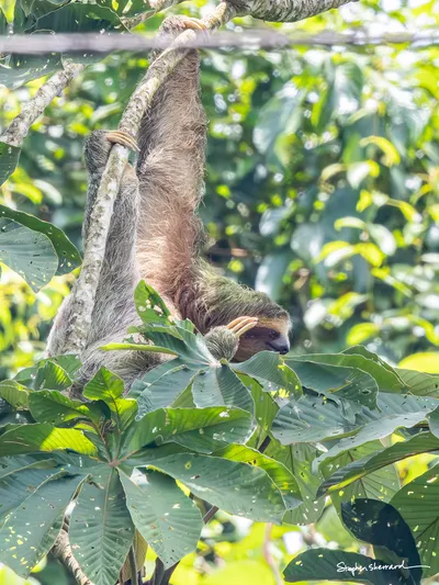 Costa Rica