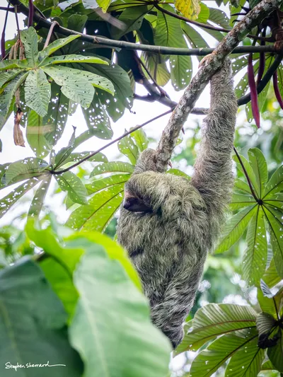 Costa Rica
