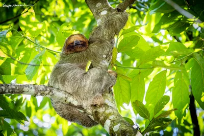 Costa Rica