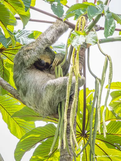 Costa Rica