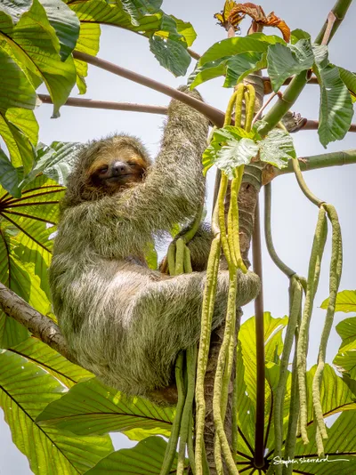 Costa Rica
