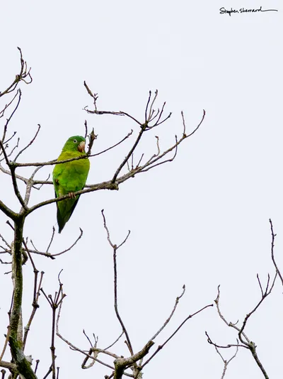 Costa Rica