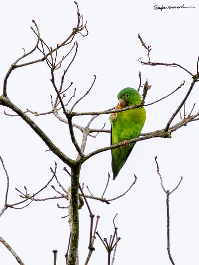 Costa Rica