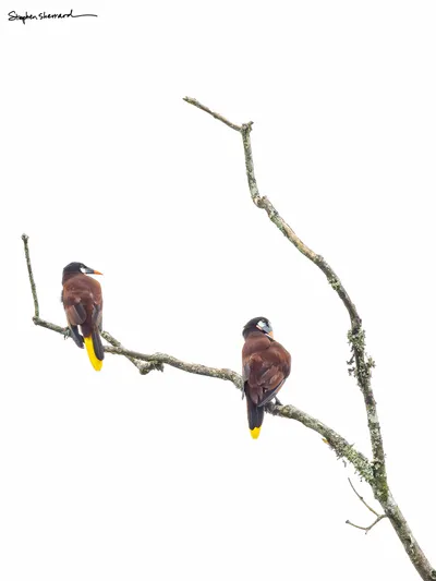 Costa Rica