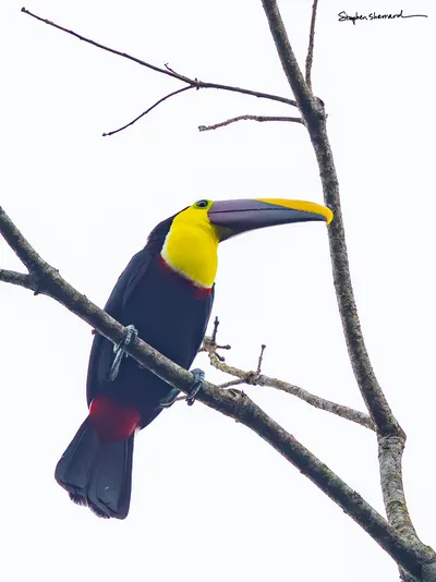 Costa Rica