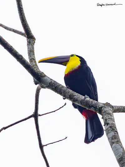 Costa Rica