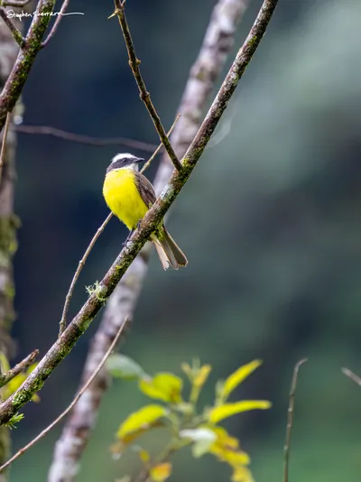 Costa Rica