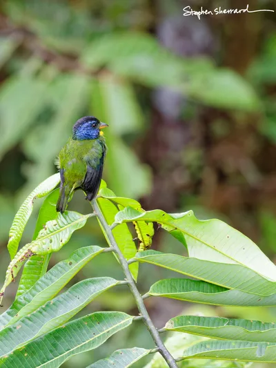 Ecuador