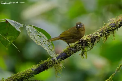 Ecuador