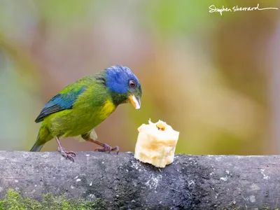 Ecuador