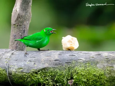 Ecuador