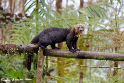 Ecuador