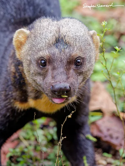 Ecuador