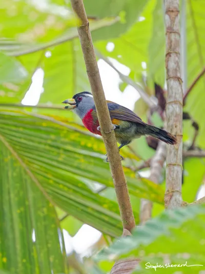 Ecuador