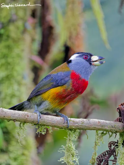 Ecuador