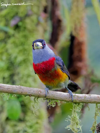 Ecuador