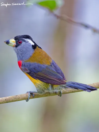Ecuador