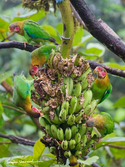 Ecuador