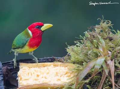 Ecuador