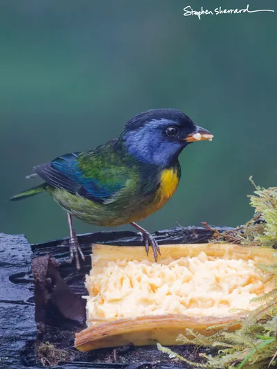 Ecuador