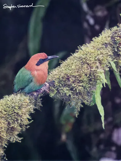 Ecuador