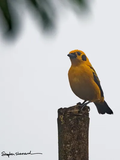 Ecuador