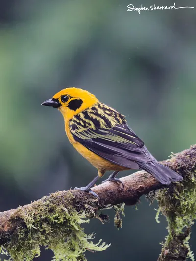 Ecuador