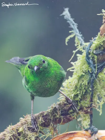 Ecuador