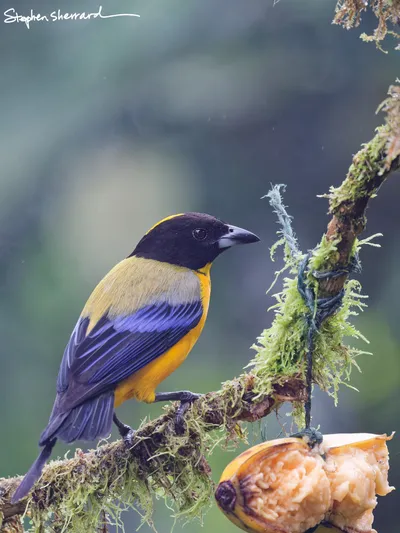 Ecuador