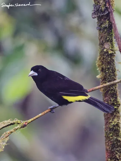 Ecuador
