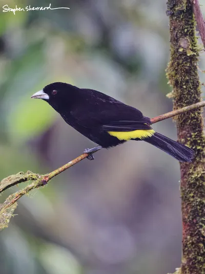 Ecuador