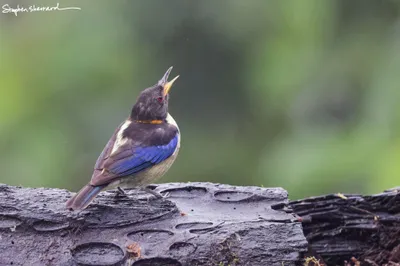 Ecuador