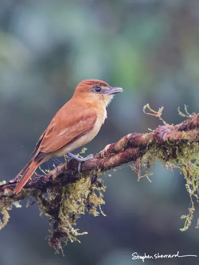 Ecuador