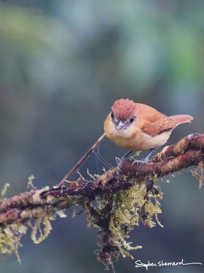 Ecuador