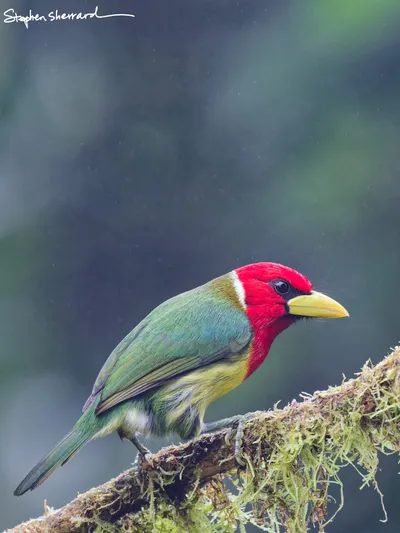 Ecuador