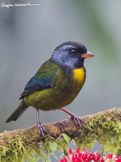 Ecuador
